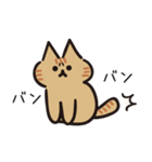 Popup！少し動く！猫ちゃん [敬語]（個別スタンプ：11）