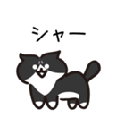 Popup！少し動く！猫ちゃん [敬語]（個別スタンプ：14）