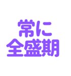 推し・自担が常に尊い！〜パープル・紫色〜（個別スタンプ：34）