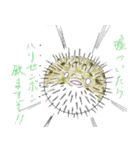 ダジャレな水族館～クセのつよい魚たち～（個別スタンプ：25）