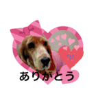 妹妹(マイマイ)（個別スタンプ：2）