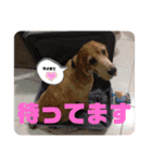 妹妹(マイマイ)（個別スタンプ：6）