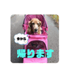 妹妹(マイマイ)（個別スタンプ：7）
