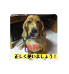 妹妹(マイマイ)（個別スタンプ：16）