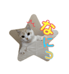 ジジ part.3（個別スタンプ：3）