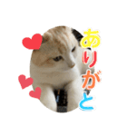 ジジ part.3（個別スタンプ：5）