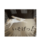ジジ part.3（個別スタンプ：6）
