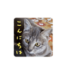 しましま猫さくらこ（個別スタンプ：6）
