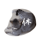 しましま猫さくらこ（個別スタンプ：18）