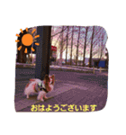ぱぴぱぴパピヨン21（個別スタンプ：2）