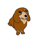ゆるゆる犬たち（個別スタンプ：1）