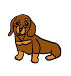 ゆるゆる犬たち（個別スタンプ：16）