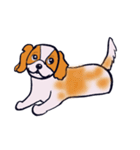 ゆるゆる犬たち（個別スタンプ：34）