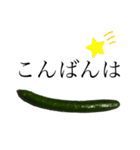 大好き野菜シリーズ きゅうり編（個別スタンプ：2）