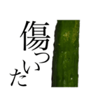 大好き野菜シリーズ きゅうり編（個別スタンプ：15）