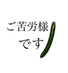 大好き野菜シリーズ きゅうり編（個別スタンプ：38）