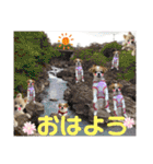 アイニィと愉快な仲間たち⑤（個別スタンプ：27）