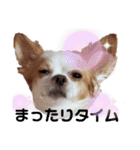 ほのぼのクーピー2（個別スタンプ：8）