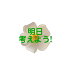 優しくてポジティブなプルメリア（個別スタンプ：6）