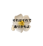 優しくてポジティブなプルメリア（個別スタンプ：7）