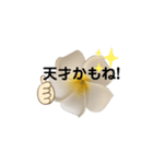 優しくてポジティブなプルメリア（個別スタンプ：11）
