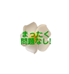 優しくてポジティブなプルメリア（個別スタンプ：12）