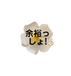 優しくてポジティブなプルメリア（個別スタンプ：13）
