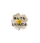 優しくてポジティブなプルメリア（個別スタンプ：15）