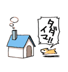 WAN柴 日常スタンプ（個別スタンプ：6）