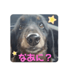 くうぽん（個別スタンプ：11）