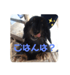 くうぽん（個別スタンプ：12）