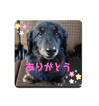 くうぽん（個別スタンプ：13）