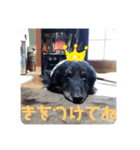 くうぽん（個別スタンプ：14）
