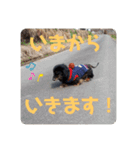 くうぽん（個別スタンプ：15）