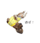 かーるとぽーちゃんのスタンプ（個別スタンプ：6）