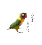 かーるとぽーちゃんのスタンプ（個別スタンプ：8）