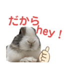 ミニウサギのしらすちゃんその2（個別スタンプ：13）