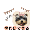 小福のスタンプ②（個別スタンプ：7）