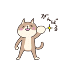 いろんなねこ（日常用）（個別スタンプ：6）