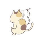 いろんなねこ（日常用）（個別スタンプ：17）