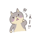 いろんなねこ（日常用）（個別スタンプ：22）