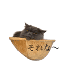 るーこさんが通る（個別スタンプ：21）