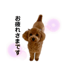 カトりんの日常♪④（個別スタンプ：12）