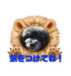 プードルパラダイス①❤️（個別スタンプ：5）