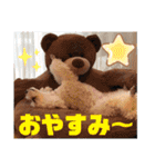 プードルパラダイス①❤️（個別スタンプ：19）