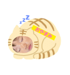 おてんばみーの日常（個別スタンプ：4）