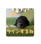 くぅ【改訂版】（個別スタンプ：7）