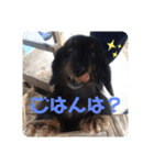 くぅ【改訂版】（個別スタンプ：12）
