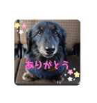 くぅ【改訂版】（個別スタンプ：14）