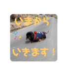 くぅ【改訂版】（個別スタンプ：15）